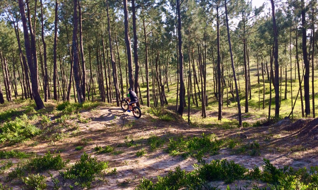 Fun in forested dunes...